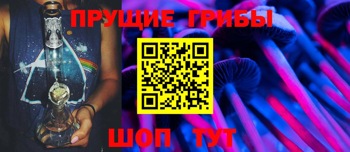 Сергиев Посад  Галлюциногенные грибы Psilocybine cubensis  Вход с VPN 