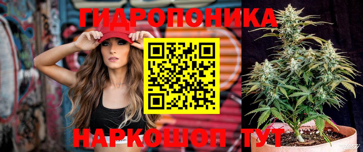 Каннабис тримм  Вход с VPN  Бошки марихуана AK-47  Сергиев Посад  Бошки Шишки планчик 
